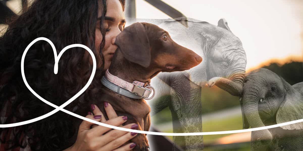 Woman cuddling with her dog