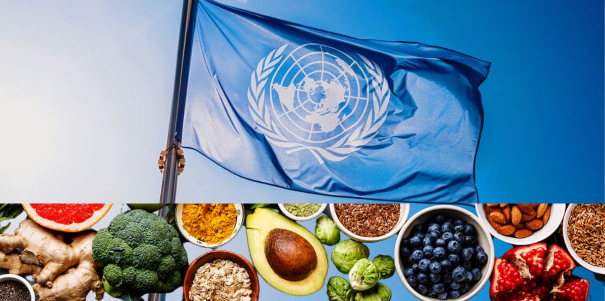 The UN Voted On Whether Or Not Food Is A Human Right — The U.S. Was The Only Country To Vote 'No'