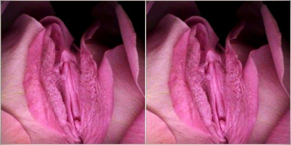 Stop Using Other Words For Vagina Out Of Shame & Censorship Stop Using Other Words For Vagina Out Of Shame & Censorship