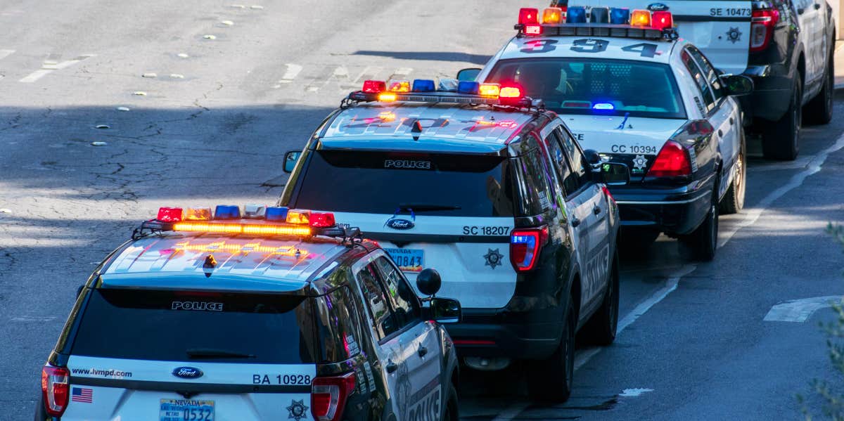 Police cars lined up