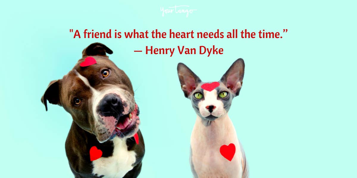 two cute dogs with Valentine's Day quote for friends