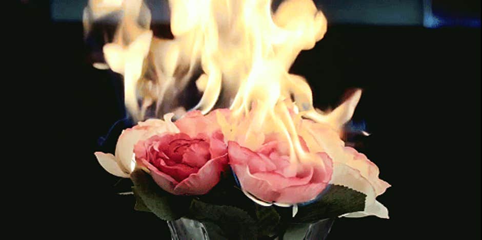 Why Valentine's Day Sucks Why Valentine's Day Sucks