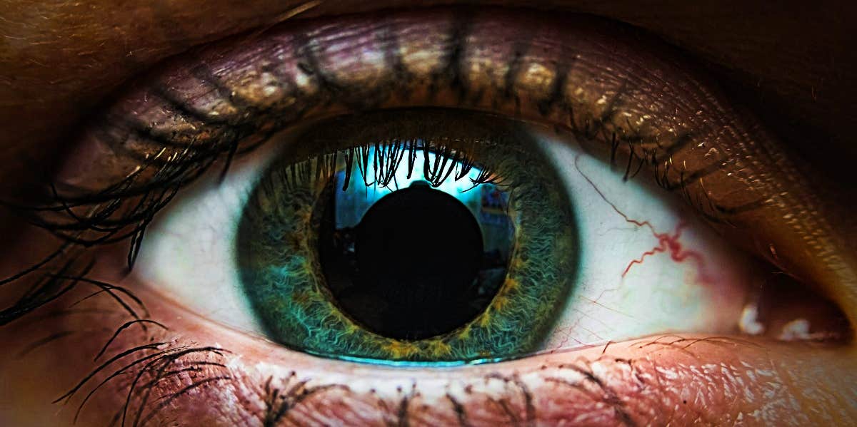 The iris: the most attractive part of the eye