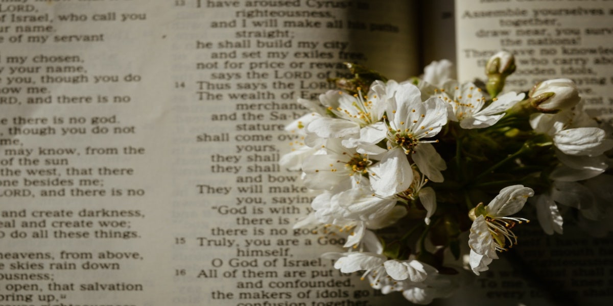 flowers in front of scripture