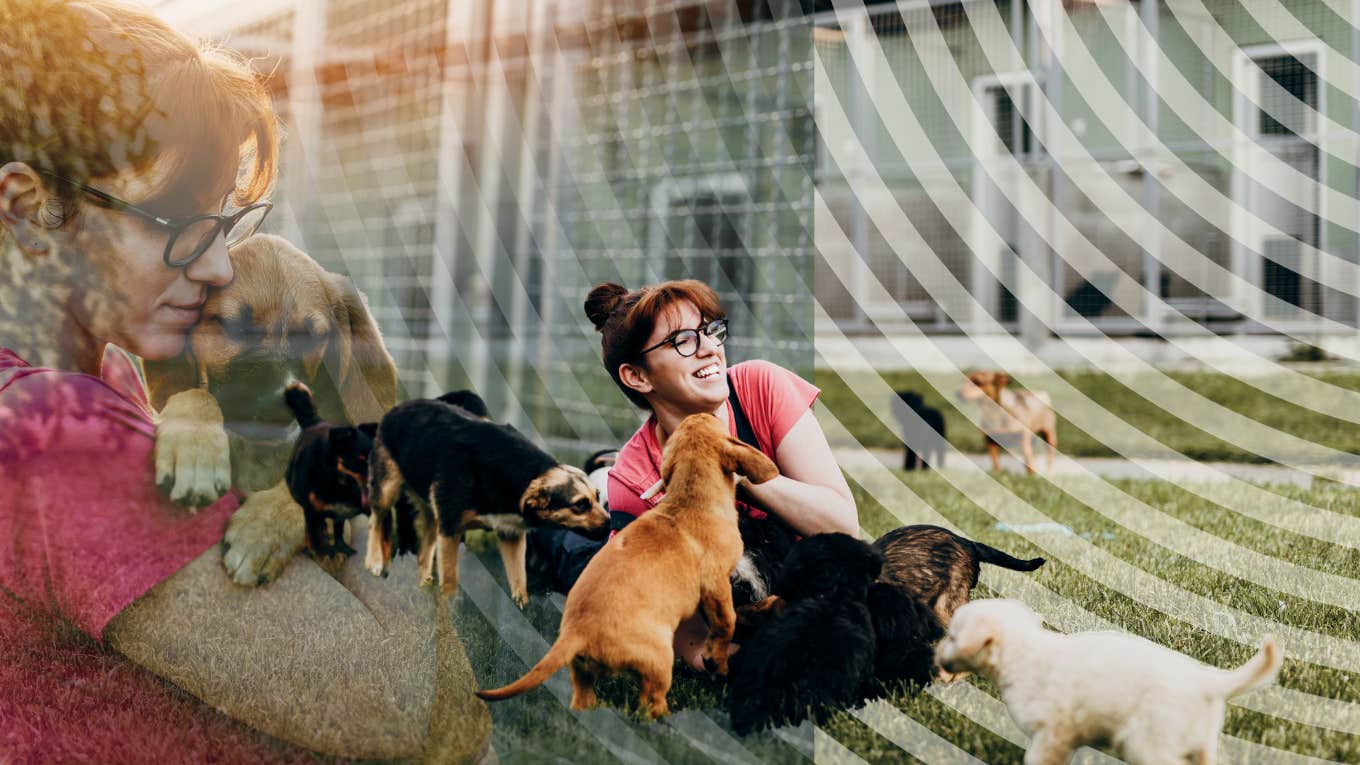 40 year old woman volunteering her time with animals 
