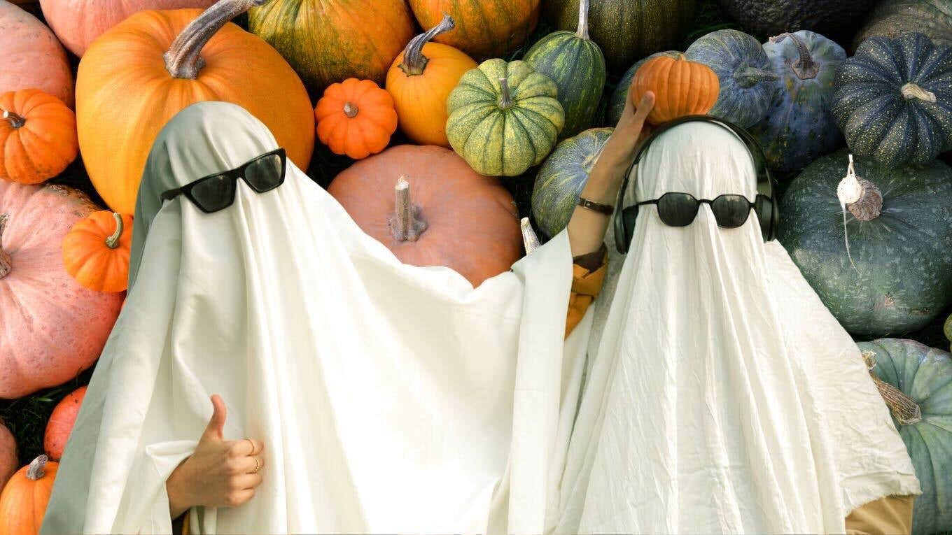 teal, purple, blue pumpkin meaning while trick or treating what it means when you see different color pumpkins while trick or treating