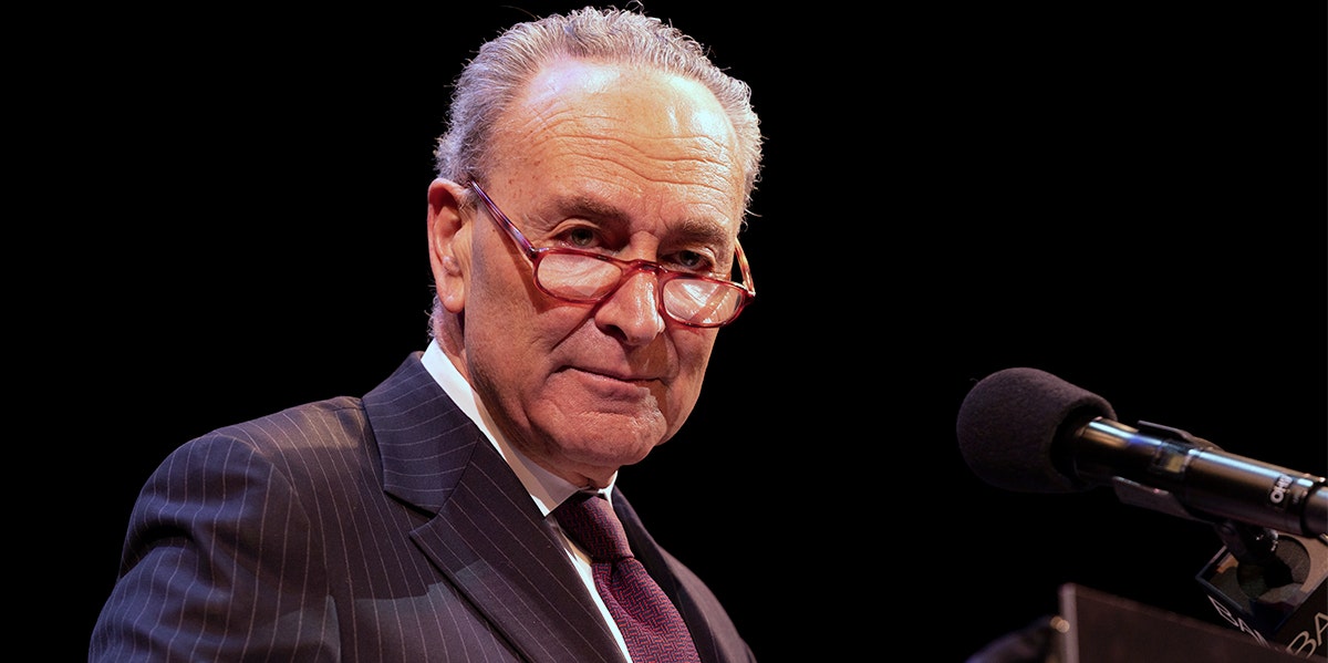 Who Is Chuck Schumer's Wife, Iris Weinshall?