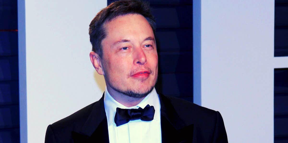 why do people hate Elon Musk Elon Musk