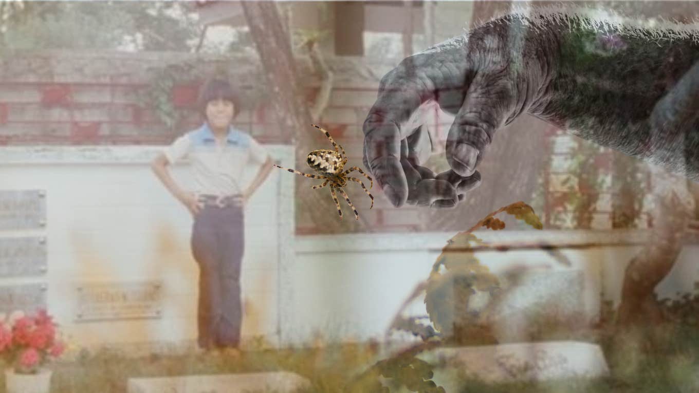 Childhood photo of author, mature hand reaching for spider 