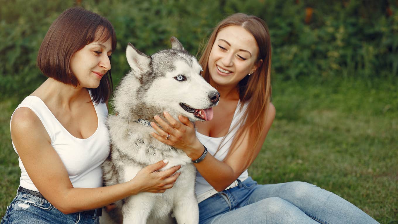women, dog, petting