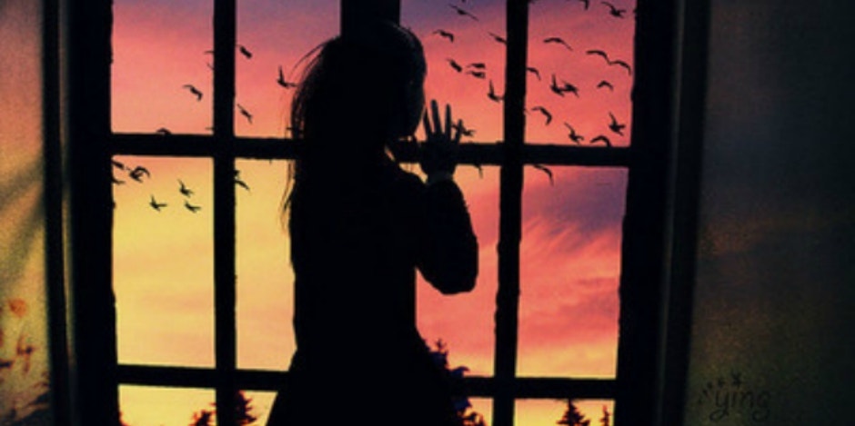 window window