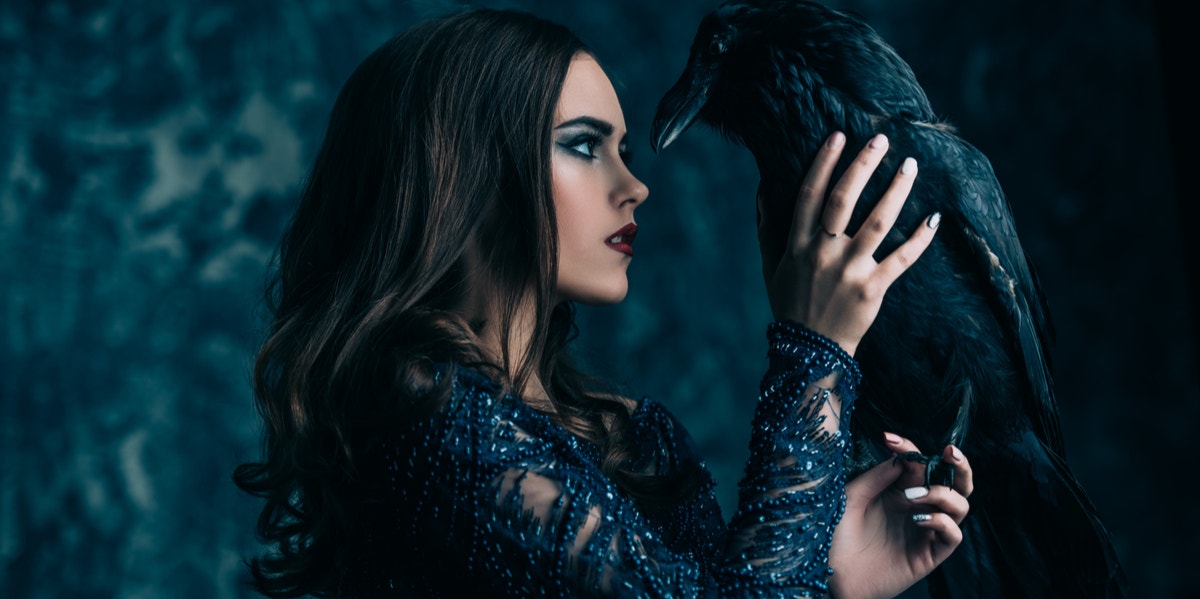 witch with a raven