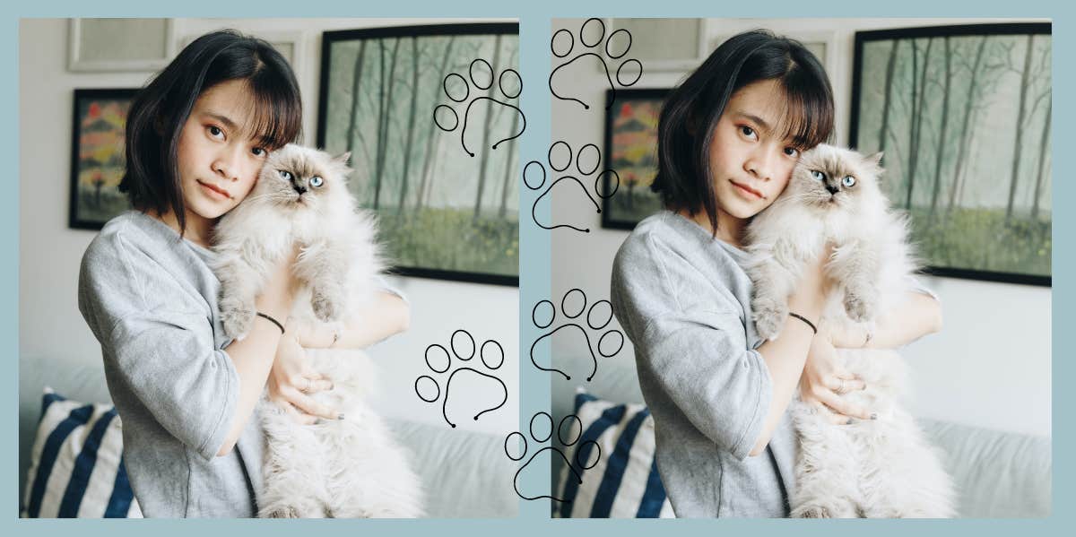 Woman Thinks Boyfriend Replaced Her Cat While She Was On Vacation & Wants Proof To Catch Him Lying Woman and cat