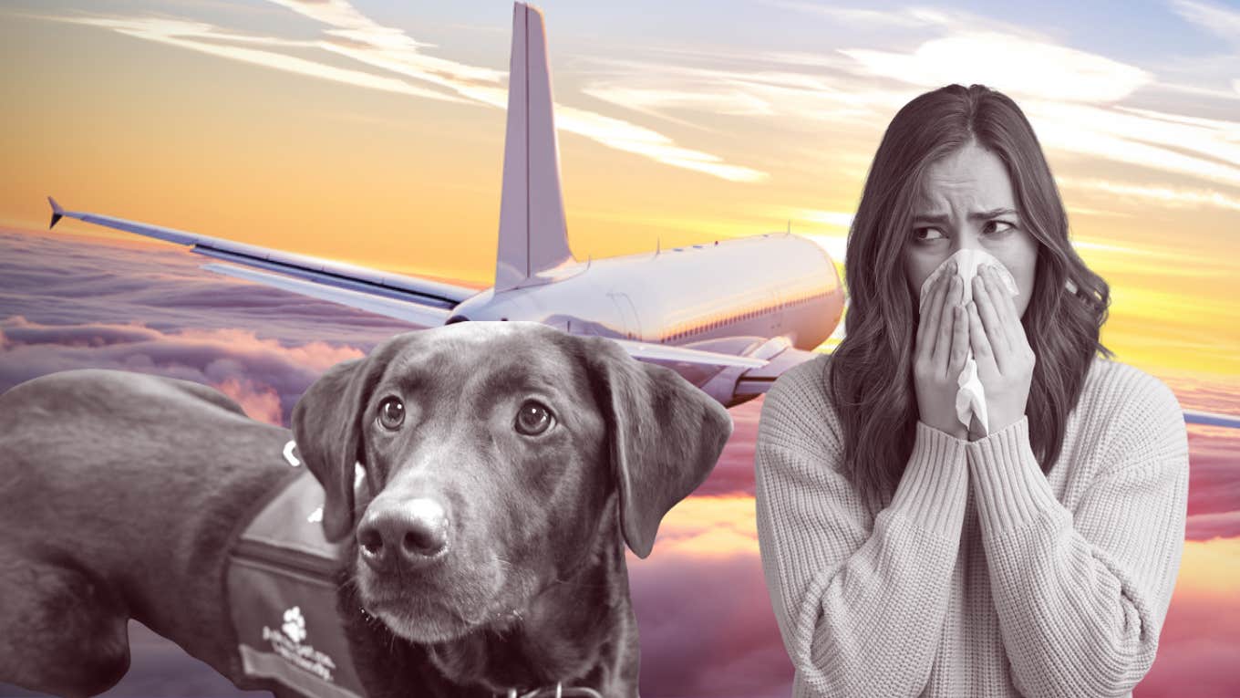 plane, woman, service dog 
