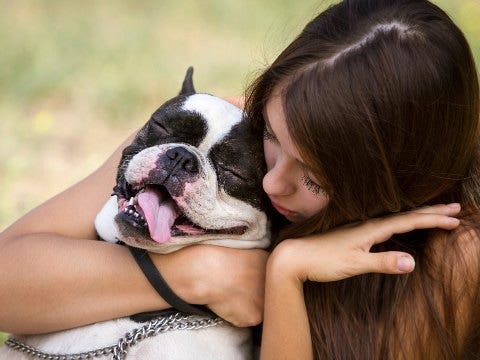 woman hugging a dog woman hugging a dog
