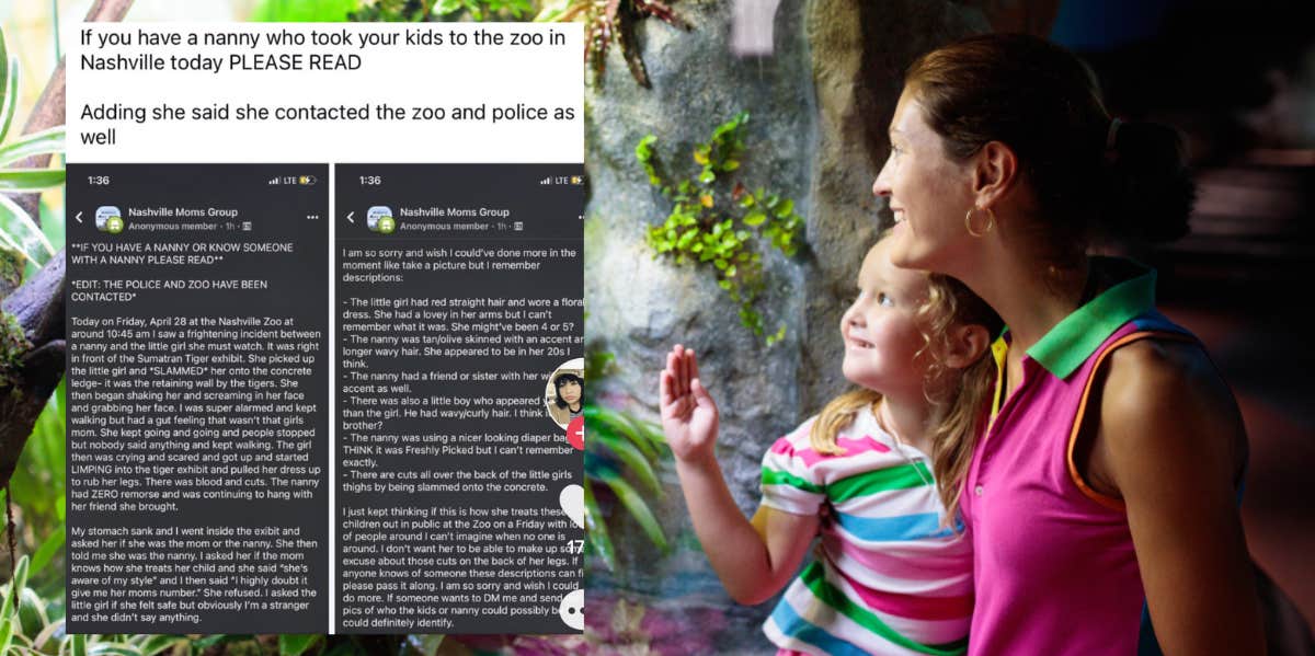 Woman Searches For Family Of Little Girl She Saw Being Hurt By A Nanny At The Nashville Zoo Nanny, child, zoo