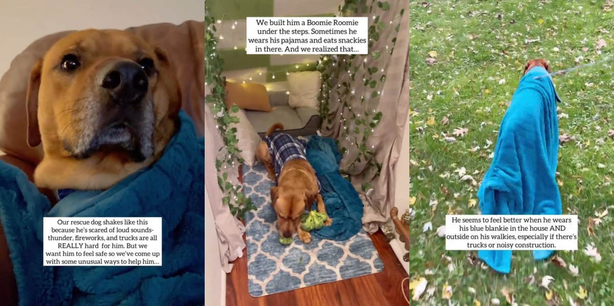 Woman Shares The Unusual Ways She Calms Her Scared Rescue Dog With Pajamas And A 'Boomie Roomie' Myko rescue dog TikTok