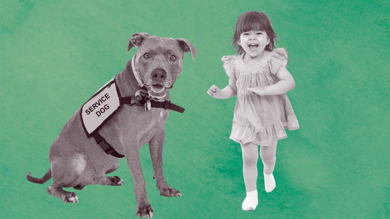 Dog Owner Suggests Parents Leash Their Toddler After She Tried To Touch Her Service Dog