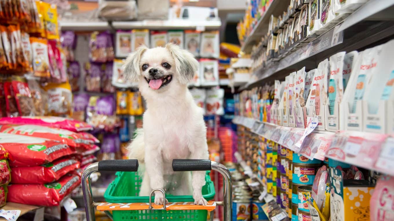dog in grocery store