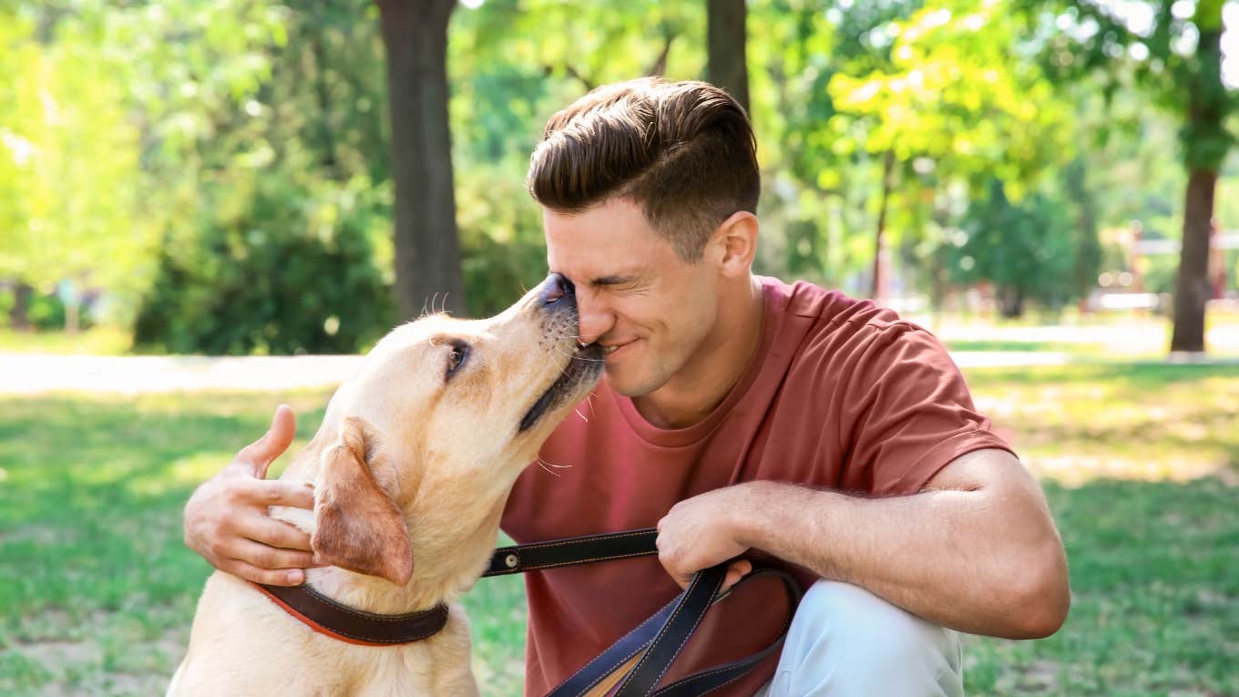 golden retriever kissing young man on the face