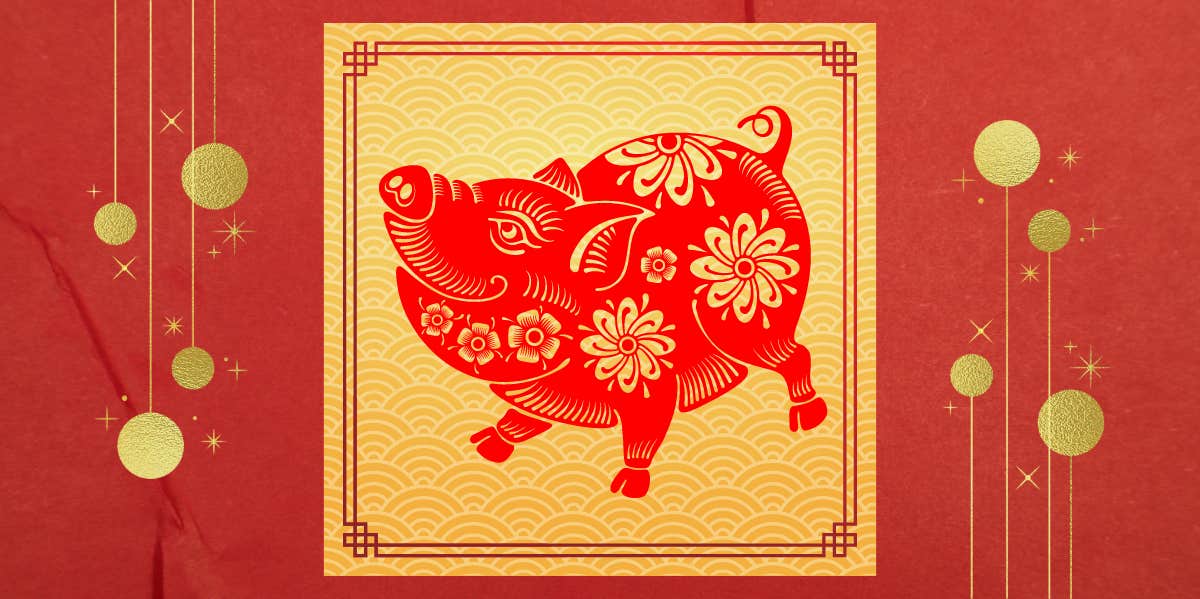 chinese lunar year of the pig zodiac symbol
