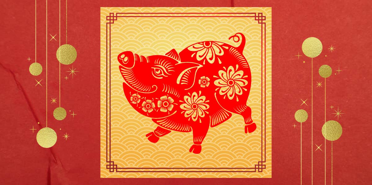 Chinese new cheap year 2007