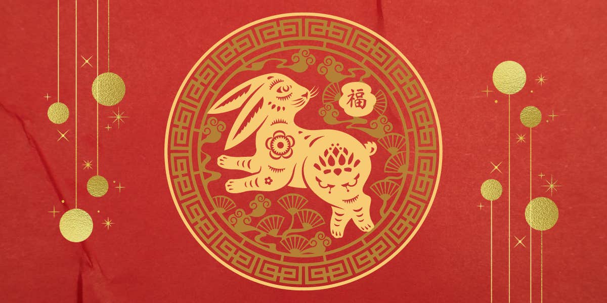 chinese zodiac year of the rabbit symbol