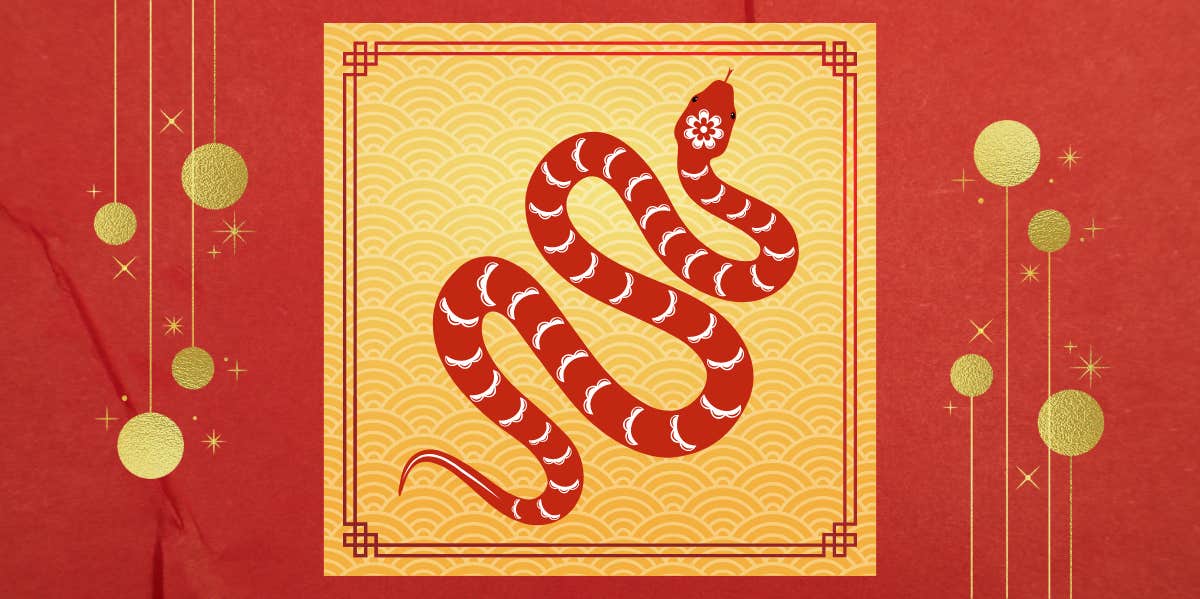 chinese zodiac snake symbol