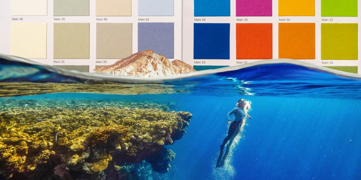 Your Zodiac Color Palette, Based On Your Big 3 And Venus Sign person swimming under water and color palette