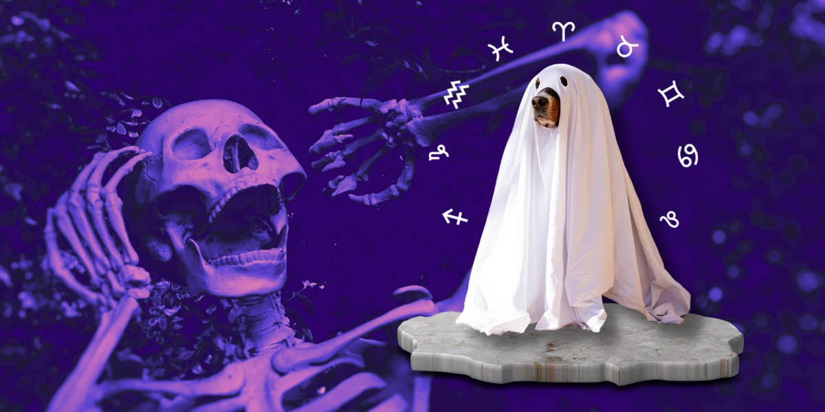ghost dog, skeleton and zodiac signs