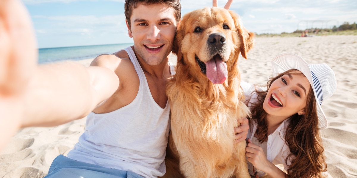 Which Zodiac Signs Love Their Pets More Than People?