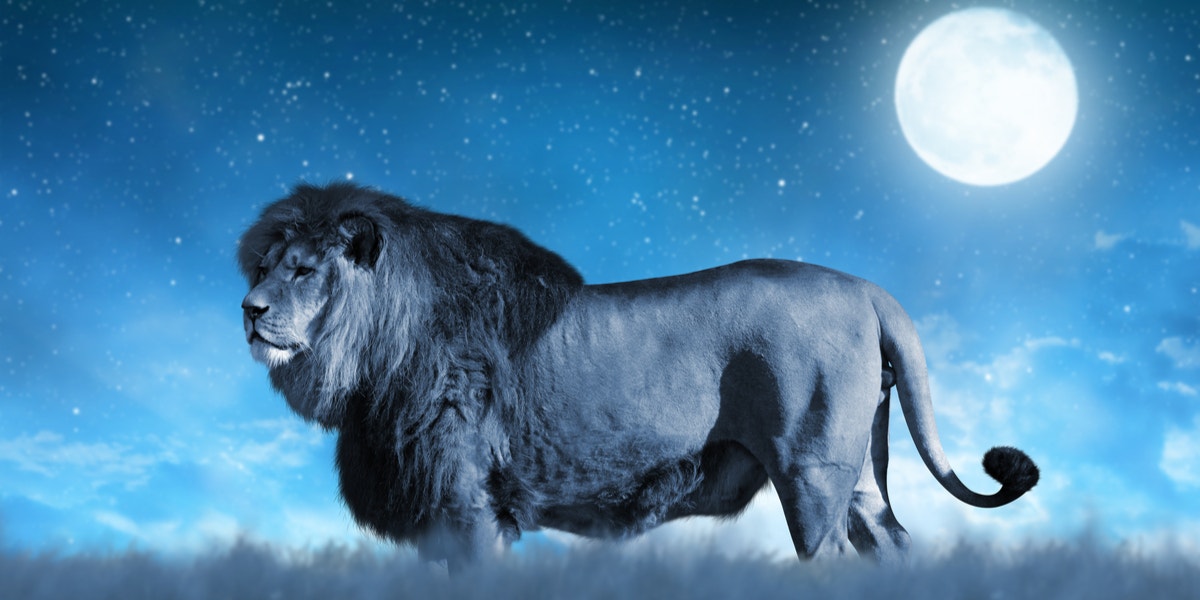 3 Zodiac Signs Who Are Luckiest In Love During The Moon In Leo Starting January 17 - 19, 2022