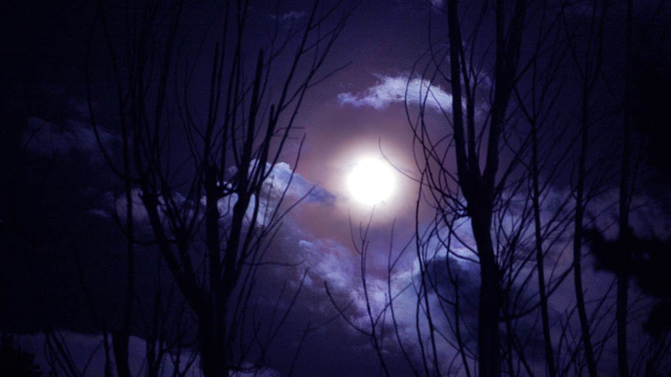 The 3 Zodiac Signs Most Affected By The Full Moon In Cancer Starting December 26 The 3 Zodiac Signs Most Affected By The Full Moon In Cancer Starting December 26