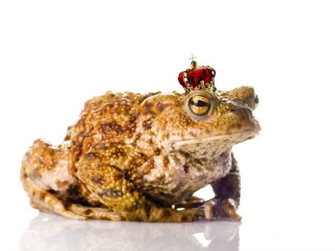 frog wearing crown
