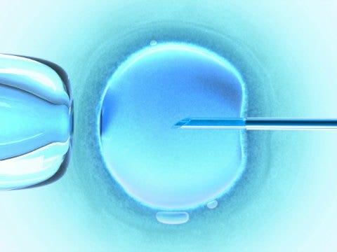 Want The Confidence In Dating To Find Your Dream Man? Freeze Your Eggs! Want The Confidence In Dating To Find Your Dream Man? Freeze Your Eggs!