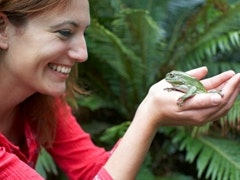 smiling woman holding frog princess prince metaphor