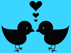 twitter love romance birds kissing