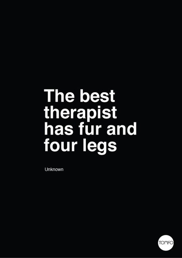 Dogs Are A Woman's Best Friend Quotes