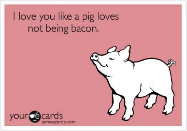 love meme like a pig loves not being bacon 