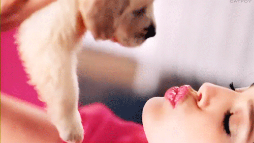 <b> The kiss with your puppy when you get home post-midnight to make up for any kisses you did or did not have. </b>
<b>Awkward Factor</b>: 0/5 champagne flutes. Dogs > Men New Year's Eve, 2015, kissing