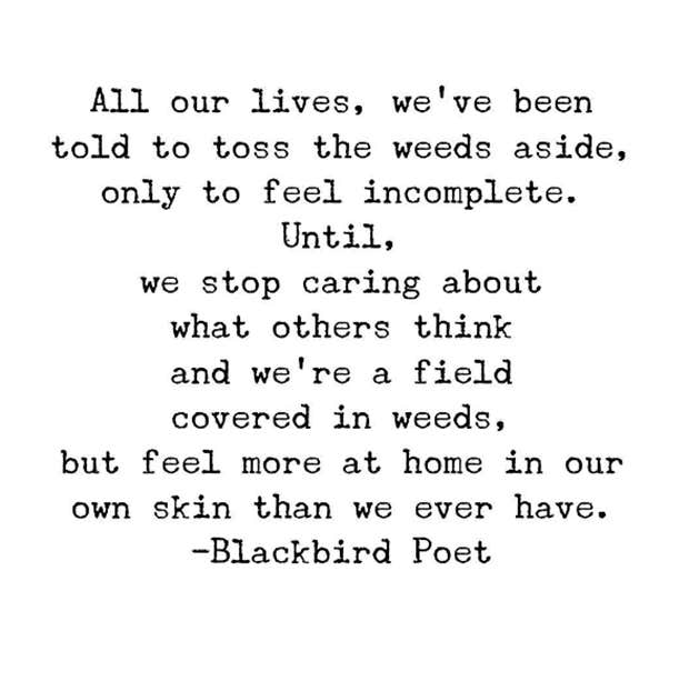 Mary Hutchinson Blackbird.Poet Instagram Quotes & Poems About Love