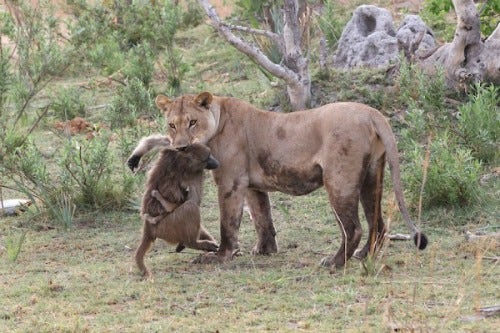 NationalGeographic.com