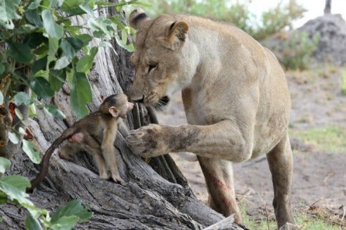 NationalGeographic.com