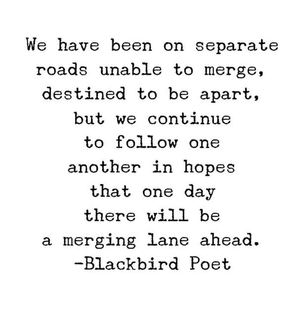 Mary Hutchinson Blackbird.Poet Instagram Quotes & Poems About Love