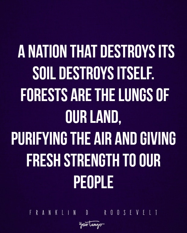 Environment Quotes