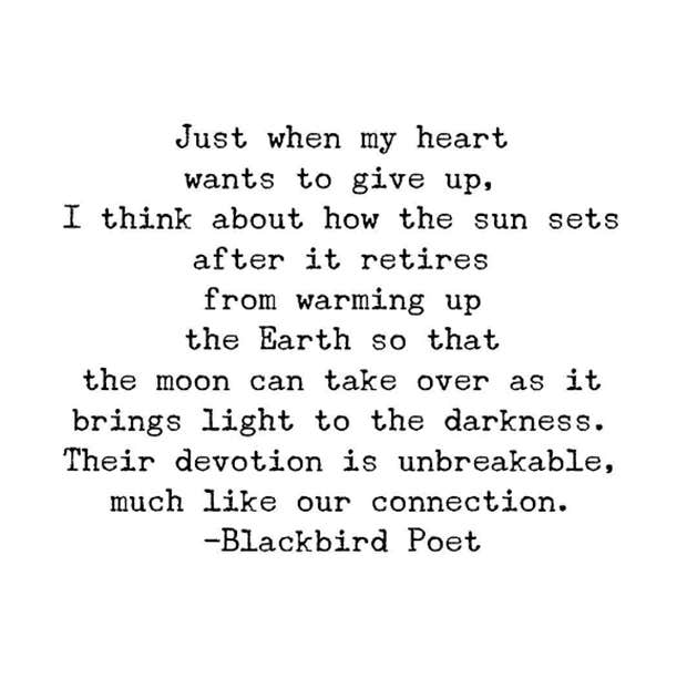 Mary Hutchinson Blackbird.Poet Instagram Quotes & Poems About Love