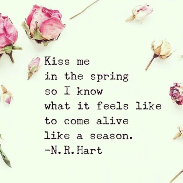 n.r. hart quotes instagram poet love quotes