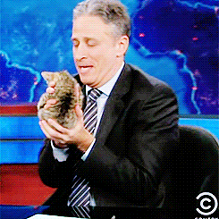Jon Stewart from 'The Daily Show' - Giphy