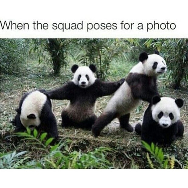 squad goals meme