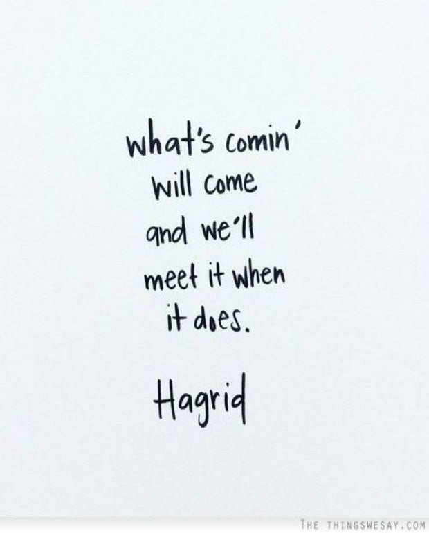 Hagrid Harry Potter Quotes